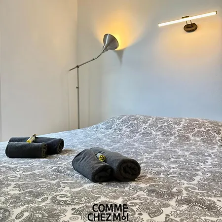 Apartment Pratique, Equipe A Avec Garage Securise Gratuit Nancy