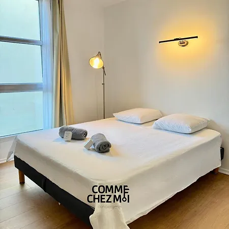 Apartment Pratique, Equipe A Avec Garage Securise Gratuit Nancy
